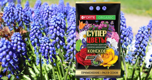 Конское премиум органическое удобрение с цеолитом и аминокислотами СУПЕР Цветы, 2 кг Bona Forte.
