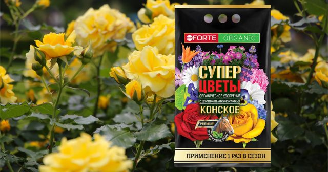 Конское премиум органическое удобрение с цеолитом и аминокислотами СУПЕР Цветы, 2 кг Bona Forte. Конское премиум органическое удобрение с цеолитом и аминокислотами СУПЕР Цветы, 2 кг Bona Forte.