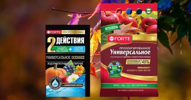 Удобрение гранулированное пролонгированное УНИВЕРСАЛЬНОЕ лето-осень, 2,5 кг Bona Forte