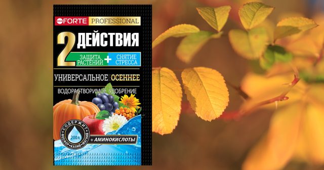 Удобрение водорастворимое Универсальное осеннее с аминокислотами, 100 г Bona Forte. Удобрение водорастворимое Универсальное осеннее с аминокислотами, 100 г Bona Forte.