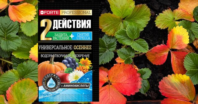 Универсальное осеннее с аминокислотами Bona Forte Универсальное осеннее с аминокислотами Bona Forte