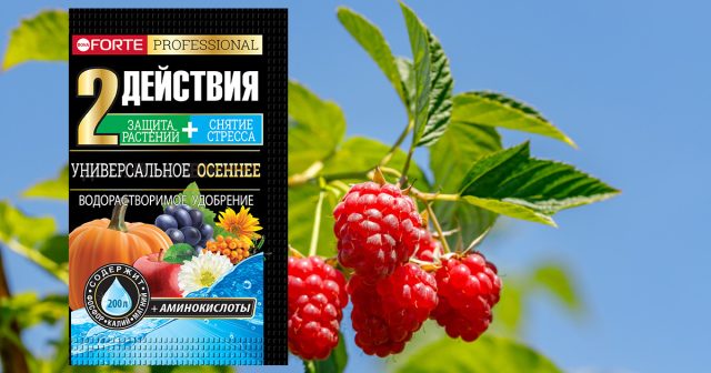 Удобрение Универсальное осеннее с аминокислотами Bona Forte