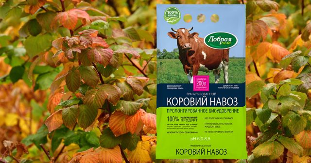 Коровий навоз Добрая сила.
