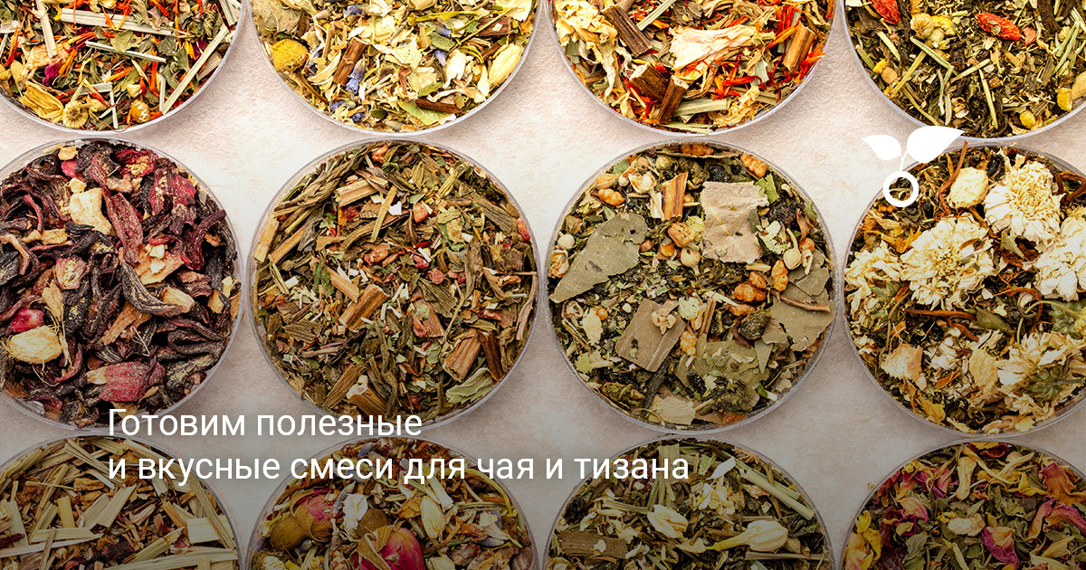 Набор трав и ягод для приготовления домашних ароматных тизанов
