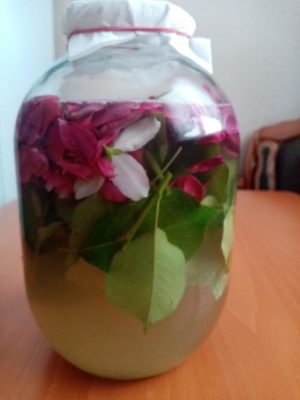 Настой для чайного гриба 2 Настой для чайного гриба 2