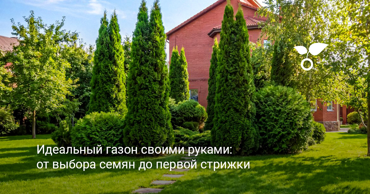Создание газона своими руками Создание газона своими руками на дачном участке