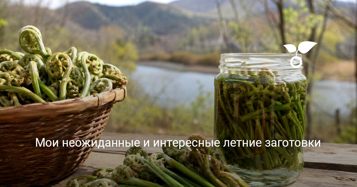 Домашние летние заготовки Разнообразные летние заготовки и домашние соленья на столе