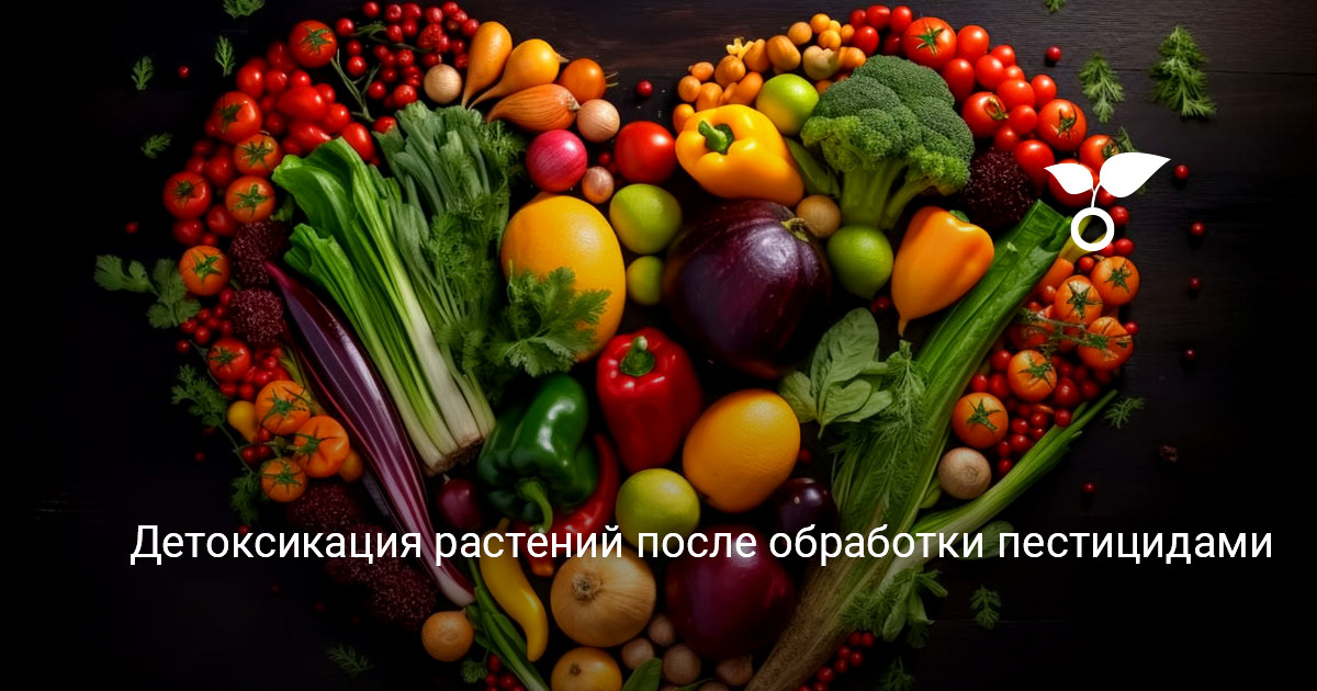 Особенности применения пестицидов уход за садовыми культурами после обработки средствами защиты
