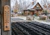 Подзимний посев: когда сеять, как готовить грядки и почему осенняя подкормка решает всё
