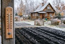 Подзимний посев: когда сеять, как готовить грядки и почему осенняя подкормка решает всё