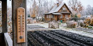 Подзимний посев: когда сеять, как готовить грядки и почему осенняя подкормка решает всё