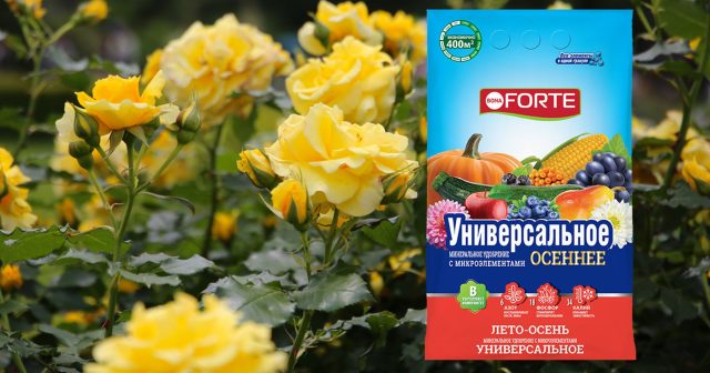 Гранулированное удобрение Универсальное Лето-Осень Bona Forte (NPK 6:18:34 + бор, железо, марганец, цинк, медь, молибден)