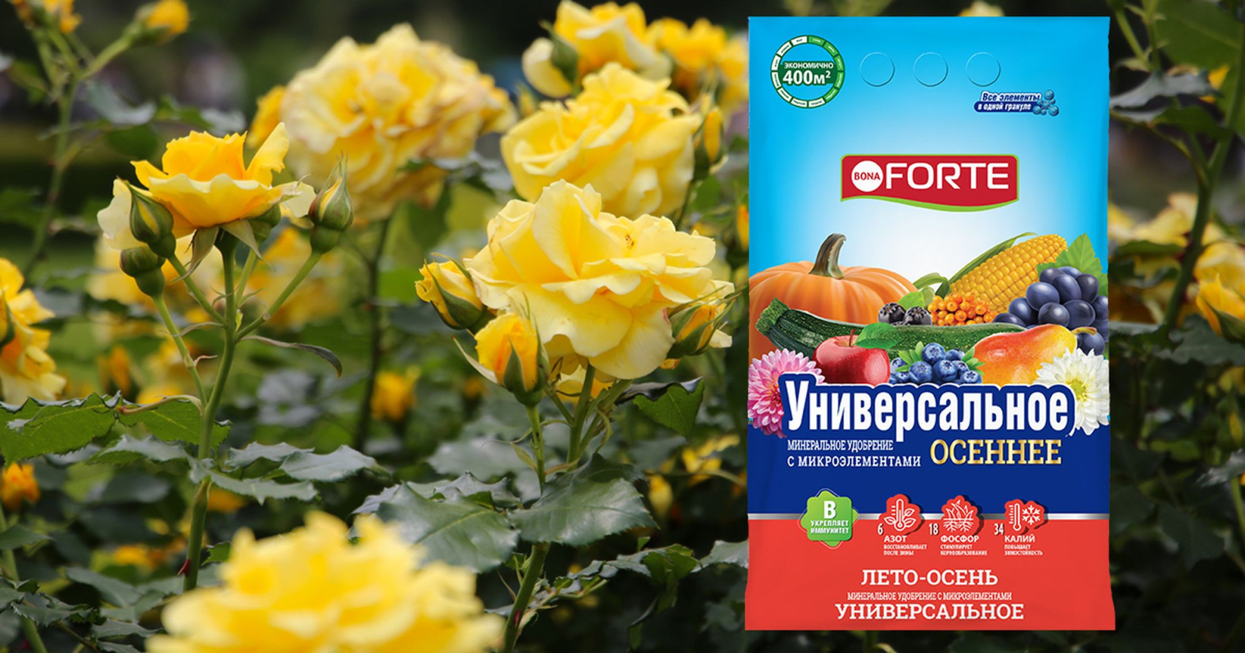 Гранулы Лето-Осень для роз гранулированное удобрение Лето-Осень для подкормки цветов