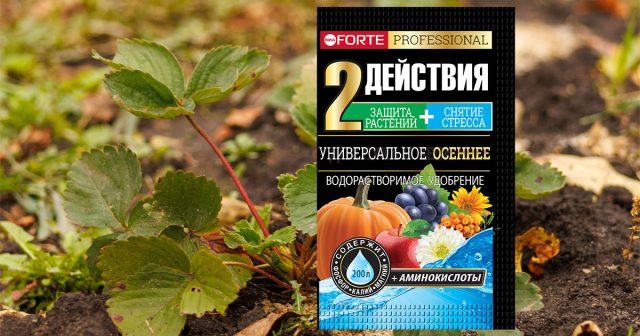 Удобрение водорастворимое Универсальное осеннее с аминокислотами, 100 г Bona Forte Удобрение водорастворимое Универсальное осеннее с аминокислотами, 100 г Bona Forte