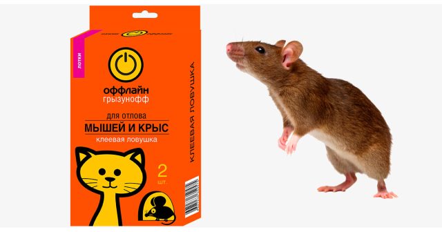 Клеевой лоток Оффлайн Клеевой лоток Оффлайн
