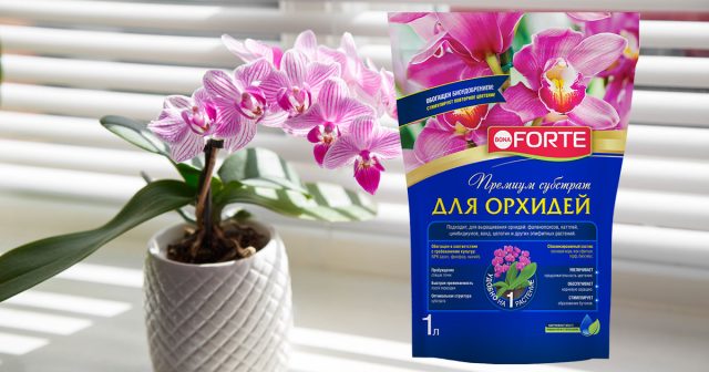 Субстрат для орхидей Bona Forte Субстрат для орхидей Bona Forte
