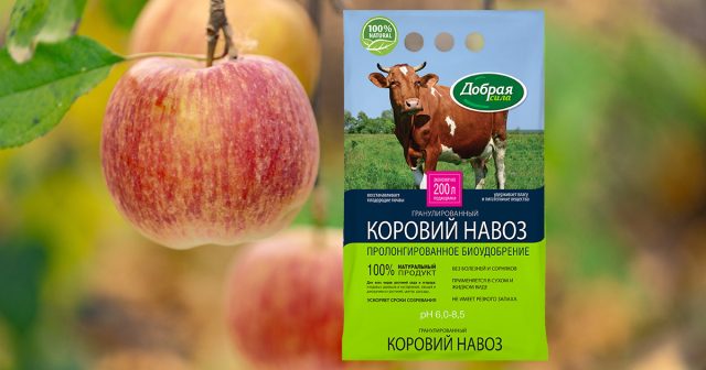 Коровий навоз Добрая сила