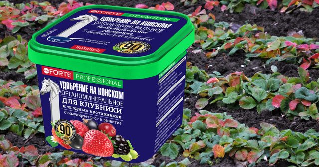 Удобрение пролонгированное на конском навозе Для клубники и ягод, 1 л Bona Forte Удобрение пролонгированное на конском навозе Для клубники и ягод, 1 л Bona Forte