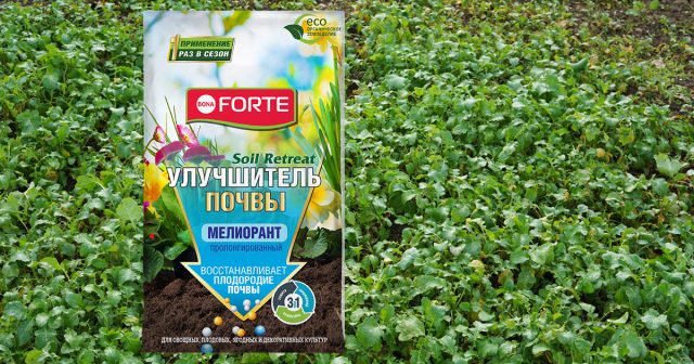 Улучшитель почвы Soil Retreat Мелиорант пролонгированный, 2,5 кг Bona Forte Улучшитель почвы Soil Retreat Мелиорант пролонгированный, 2,5 кг Bona Forte