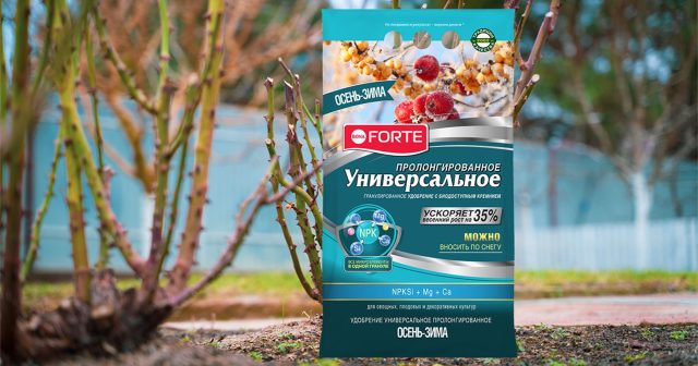 Удобрение гранулированное пролонгированное УНИВЕРСАЛЬНОЕ осень-зима, 2,5 кг Bona Forte Удобрение гранулированное пролонгированное УНИВЕРСАЛЬНОЕ осень-зима, 2,5 кг Bona Forte