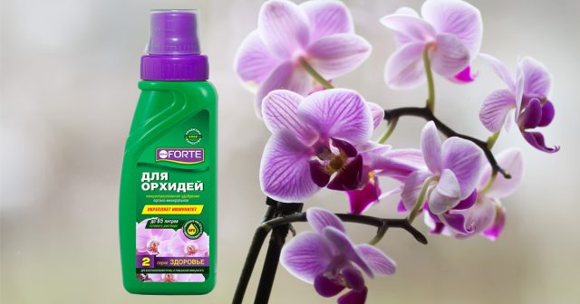 Удобрение Для орхидей Bona Forte серии Здоровье Удобрение Для орхидей Bona Forte серии Здоровье