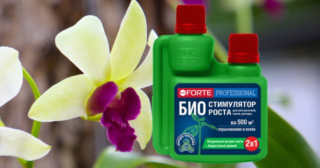 БИО-СТИМУЛЯТОР РОСТА, 100 мл Bona Forte БИО-СТИМУЛЯТОР РОСТА, 100 мл Bona Forte