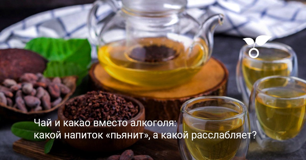 Выбор чая и какао в качестве альтернативы алкогольным напиткам вечером