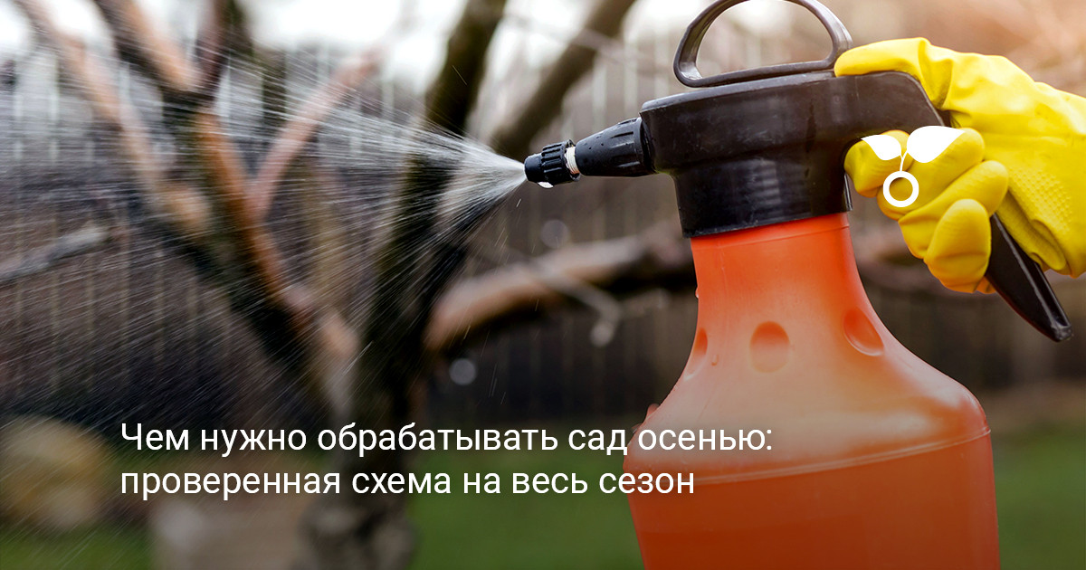 осенняя обработка сада плодовых деревьев перед заморозками