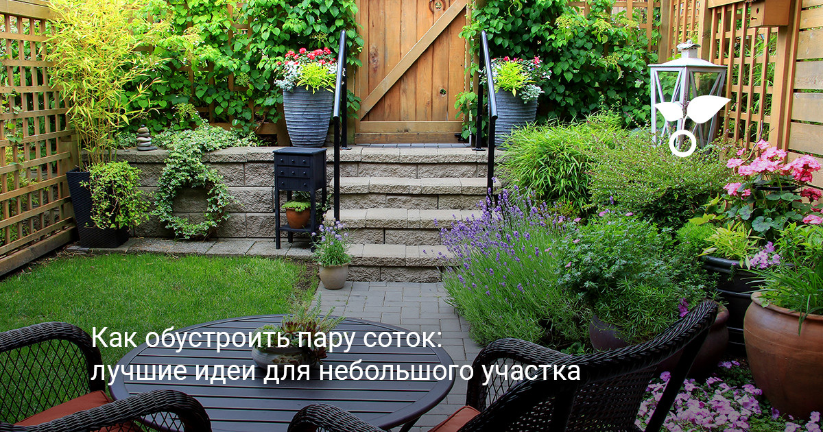 Общий вид ухоженного небольшого участка с компактными посадками и зонами отдыха