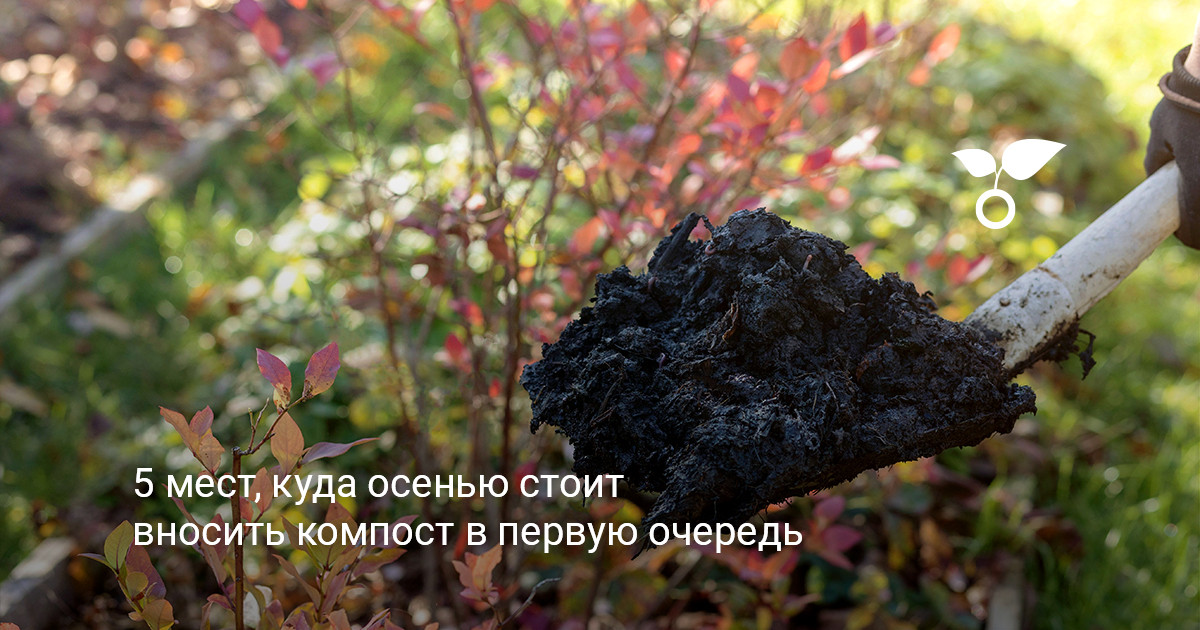 Общий вид осеннего сада и подготовка компоста для внесения