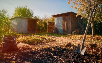 10 осенних ошибок, которые могут «испортить» почву 10 осенних ошибок, которые могут «испортить» почву