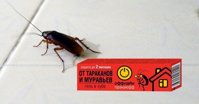 Гель от тараканов и муравьёв Оффлайн Гель от тараканов и муравьёв Оффлайн