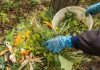 5 ошибок с компостом, которые я сделала в этом году - Блоги компаний Компостная куча редко портится из-за одной крупной ошибки. Обычно проблемы накапливаются постепенно: слишком много зелени, лишняя вода, крупные остатки и отсутствие перемешивания. Фото: Adobe Stock / Viktor Iden