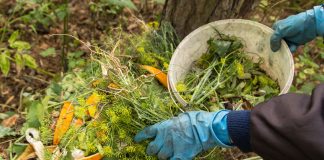 Компостная куча редко портится из-за одной крупной ошибки. Обычно проблемы накапливаются постепенно: слишком много зелени, лишняя вода, крупные остатки и отсутствие перемешивания. Фото: Adobe Stock / Viktor Iden