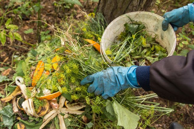 Компостная куча редко портится из-за одной крупной ошибки. Обычно проблемы накапливаются постепенно: слишком много зелени, лишняя вода, крупные остатки и отсутствие перемешивания. Фото: Adobe Stock / Viktor Iden