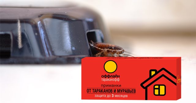 Хорошие приманки, такие как Оффлайн, состоят не только из пищевой основы и инсектицида, но и из укрытия для насекомых Хорошие приманки, такие как Оффлайн, состоят не только из пищевой основы и инсектицида, но и из укрытия для насекомых