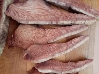 Печёночница в разрезе