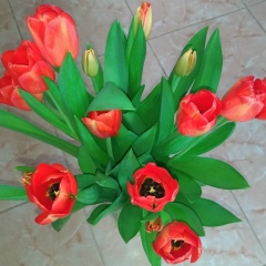 Аватар (Ольга Астафьева)